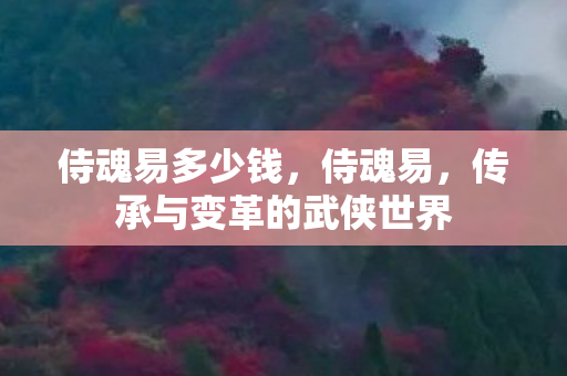 传承与变革的武侠世界图片