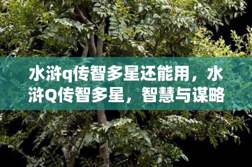 水浒q传智多星还能用图片