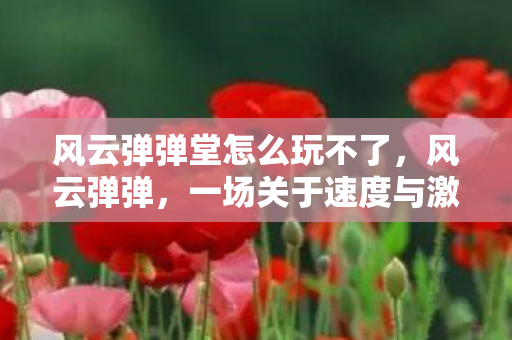 一场关于速度与激情的较量图片