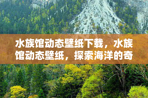 水族馆动态壁纸下载图片