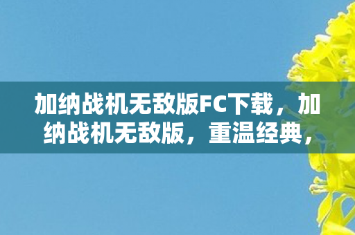 加纳战机无敌版FC下载图片