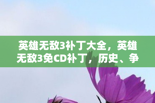 英雄无敌3免CD补丁图片
