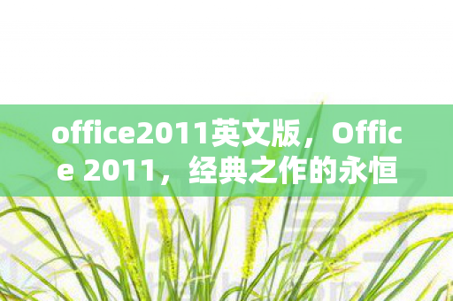 office2011英文版图片