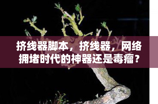 网络拥堵时代的神器还是毒瘤图片