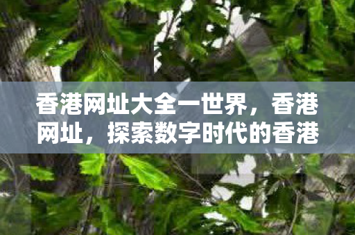探索数字时代的香港门户图片