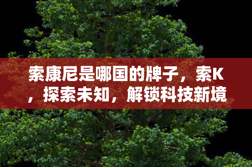 索康尼是哪国的牌子图片