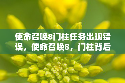 使命召唤8门柱任务出现错误图片