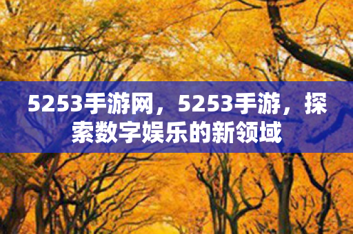 探索数字娱乐的新领域图片