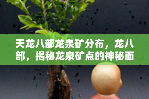 揭秘龙泉矿点的神秘面纱图片