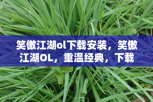 笑傲江湖ol下载安装，笑傲江湖OL，重温经典，下载启程