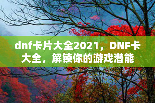 dnf卡片大全2021图片