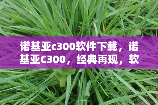 诺基亚c300软件下载图片