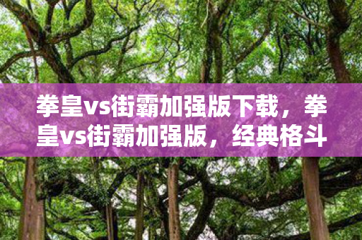 拳皇vs街霸加强版下载图片