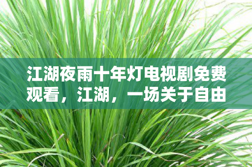 江湖夜雨十年灯电视剧免费观看图片