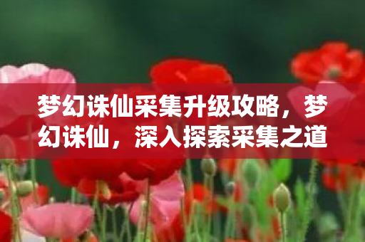 梦幻诛仙采集升级攻略，梦幻诛仙，深入探索采集之道