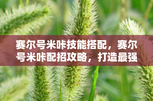 赛尔号米咔技能搭配图片