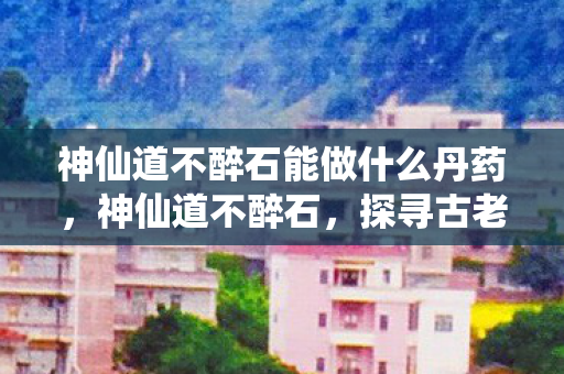神仙道不醉石能做什么丹药图片