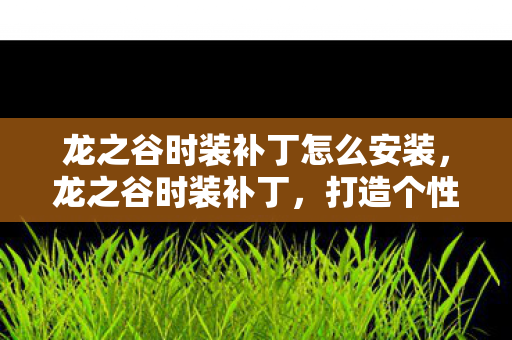 龙之谷时装补丁怎么安装图片