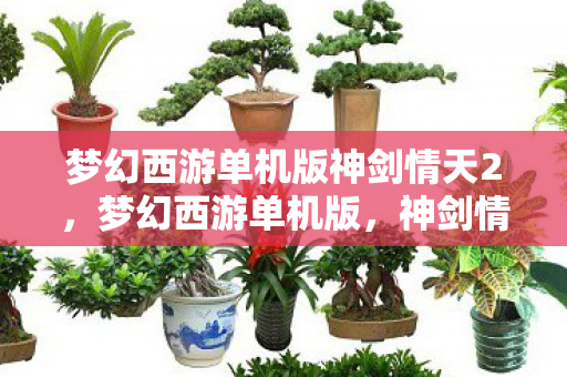 梦幻西游单机版神剑情天2图片