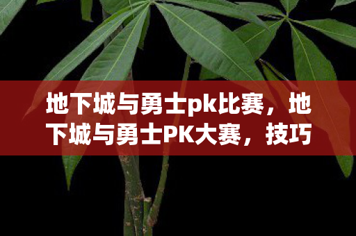 地下城与勇士pk比赛图片