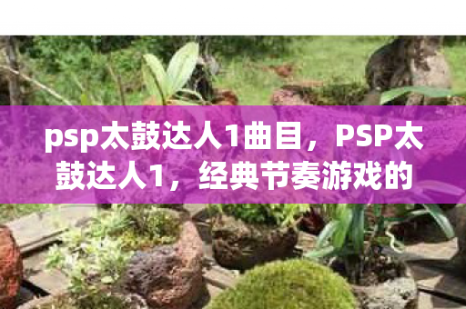 经典节奏游戏的掌中盛宴图片