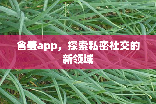 探索私密社交的新领域图片