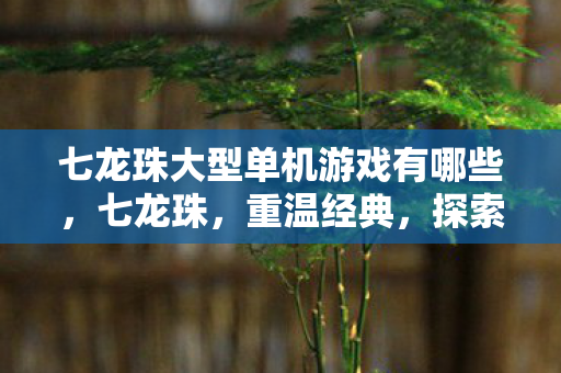 探索无限可能的单机游戏之旅图片