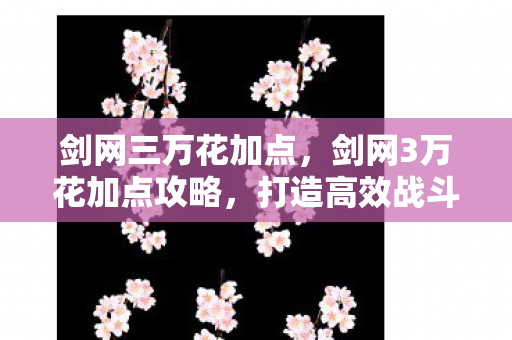 打造高效战斗力的关键图片