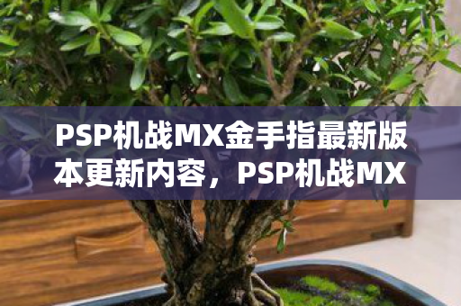 PSP机战MX金手指最新版本更新内容图片