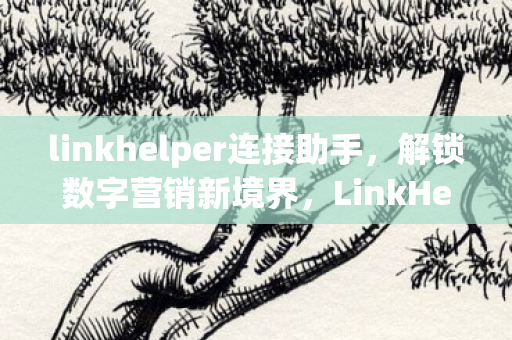 LinkHelper的全方位指南图片