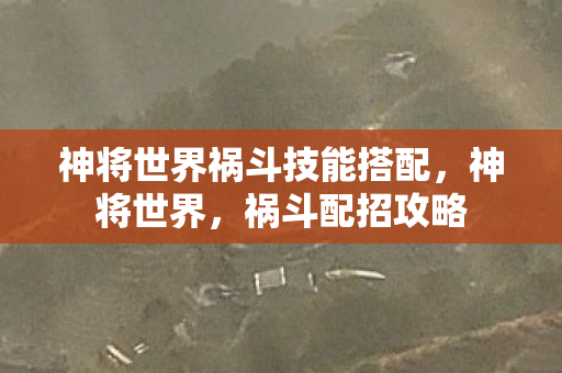 神将世界祸斗技能搭配图片