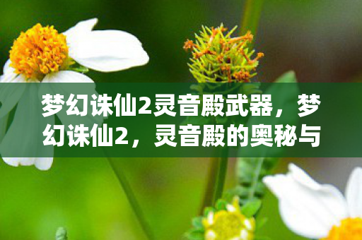 梦幻诛仙2灵音殿武器，梦幻诛仙2，灵音殿的奥秘与魅力