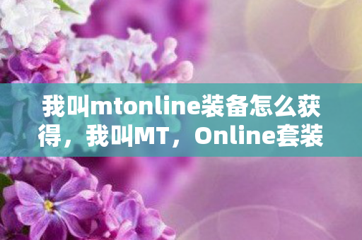 我叫mtonline装备怎么获得图片