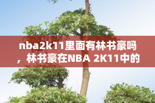 林书豪在NBA 2K11中的传奇之路图片