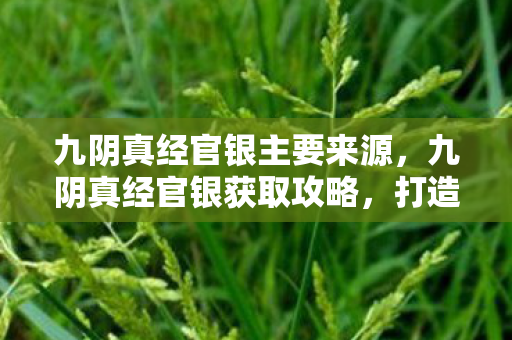 九阴真经官银主要来源图片