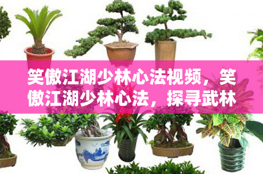 笑傲江湖少林心法视频图片