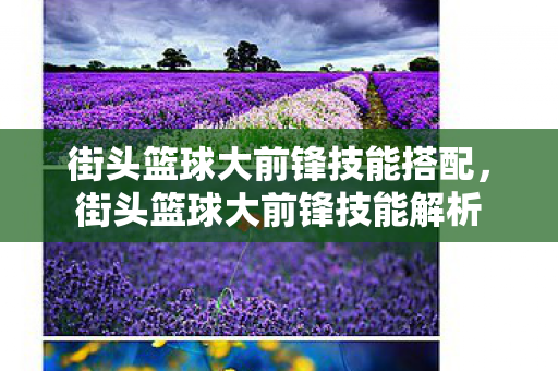 街头篮球大前锋技能搭配图片