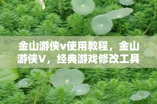 经典游戏修改工具的全面指南图片