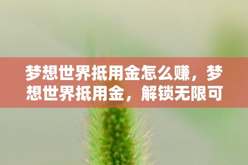 梦想世界抵用金怎么赚图片