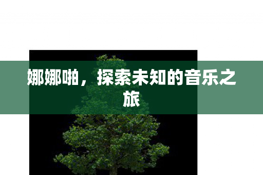 探索未知的音乐之旅图片