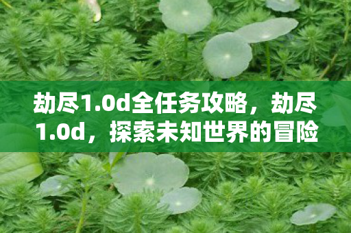 探索未知世界的冒险之旅图片