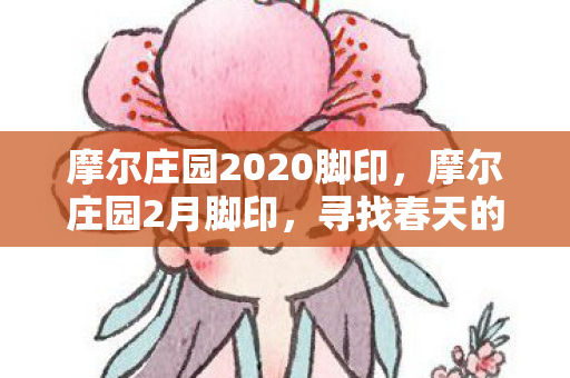 摩尔庄园2020脚印图片