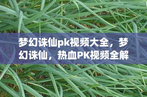 梦幻诛仙pk视频大全，梦幻诛仙，热血PK视频全解析