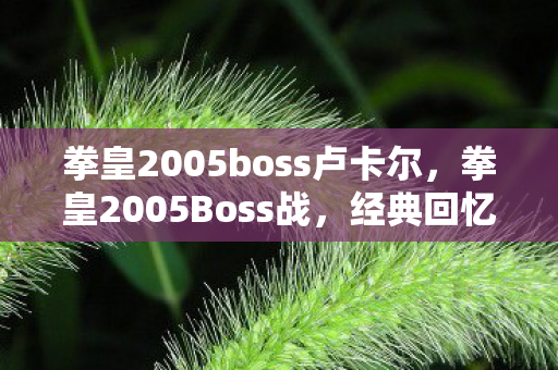 拳皇2005boss卢卡尔图片