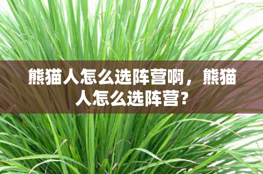 熊猫人怎么选阵营啊图片