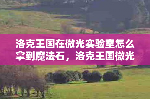洛克王国在微光实验室怎么拿到魔法石图片