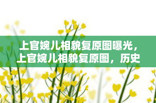 上官婉儿相貌复原图曝光图片