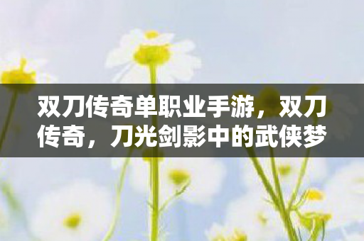 双刀传奇单职业手游图片