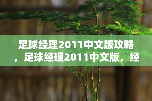 足球经理2011中文版攻略，足球经理2011中文版，经典再现，策略与激情的碰撞
