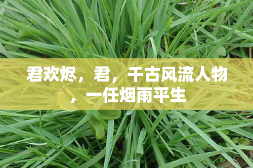 君欢烬，君，千古风流人物，一任烟雨平生